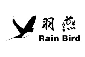 羽燕RainBird